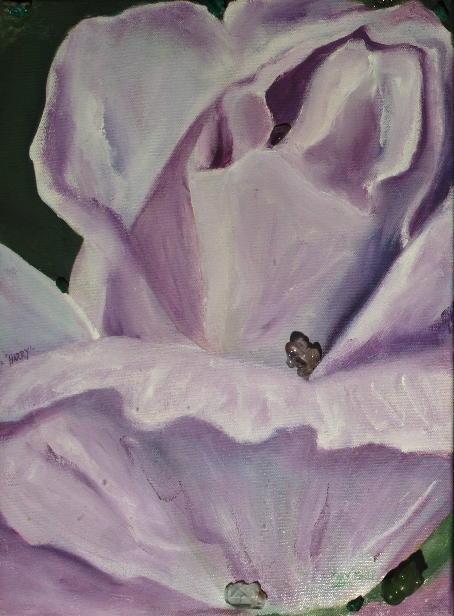 "Harry" - Lavender Rose
